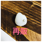 シェル ジビッツ