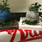 タマカラセメントフェイクグリーン寄せ植え
