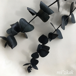 ユーカリ  ブラック  プリザーブドフラワー