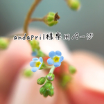 andapril様専用ご購入ページ