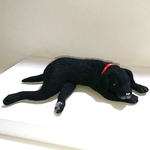 『 goさまオーダー品 』ラブラドールレトリバー