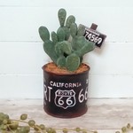 「mi様お取り置き作品」ウサギサボテンのブリキ缶寄せ植え 