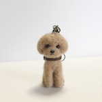 羊毛フェルト ストラップ トイプードル アプリコット