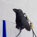 コップが止まり木<ハシブトガラス>