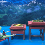 Garden box's