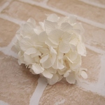 【単品】紫陽花プリザーブドフラワー「みちのくホワイト」