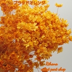 今だけ増量！【NEW】ドライ・ミニスターフラワー☆《Brad orange》