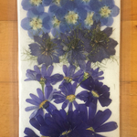  押し花