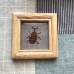 ＊カブトムシの刺繍ミニ額＊