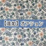 追加オプション（３００円）