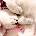 cyubirb様*ﾟ専用ページ