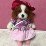 お出かけキャバリアちゃん