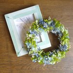 アジサイとかすみ草のふんわりリース