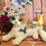 クマちゃん帽子のスコティッシュ