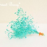 【プリザーブドフラワー】つぼみソフトミニかすみ草　濃水色