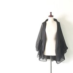 夏の蝶 黒揚羽 