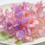 ＊３月限定お値下げ＊　ピラミッド紫陽花　あじさい　アジサイ　プリザーブド　ピンクパープル