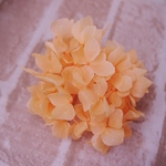 【単品】紫陽花プリザーブドフラワー「オレンジ」