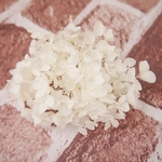 【単品】紫陽花プリザーブドフラワー「アナベルホワイト」