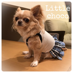犬服  イニシャル入りキャミスカート