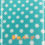 ふみ様 専用ページ☆