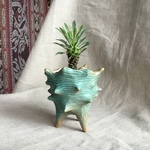 波に揺られて(植木鉢)