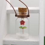 【一点限定】コルク瓶の中の小さな芽と桜