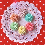 パステルカラー★虹色★お花★カボション【6色セット】