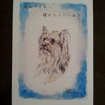 【sana37luna様オーダー品】飼い主さんと一緒イラスト・ポストカードセット