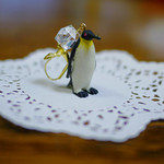 animal方耳ピアス【Penguin】