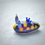 ガラスのウミウシ『サガミリュウグウウミウシ』受注制作