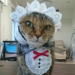 メイド服セット