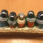 yoki1128さま♡ご注文専用ページ:ウロコインコノーマル、ワキコガネウロコインコ、ホオミドリウロコインコブルー、ウロコインコパイナップルセット