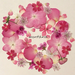 103.押し花アソート〜ピンク系 小花 mix 押し花素材