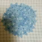紫陽花✿押し花素材セット(*´ω`*)✿*:･ﾟ