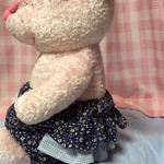 フリルたっぷりブルマ☆