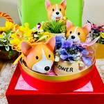 crr-lov様専用ページ🐶💐