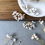 Gypsophila ⑽