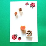 【再販2】てんとう虫セット
