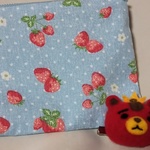 東方神起☆ハンドメイド☆TBちゃんブローチ&いちごポーチ