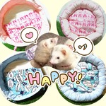 ハンモックベッドセット【フェレット、猫用】
