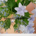 hanuru625様専用ページ