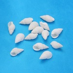 【４０ｇ】白いスパイラルシェルビーズ　
