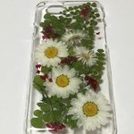 春のお花畑iPhone6ケース
