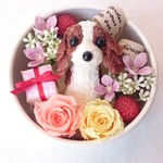 お花で作ったワンちゃん  [ちいさな友達：キャバリアBOXアレンジ～」