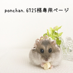 ponchan.6725様専用ページ