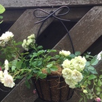 「S様オーダー品」♫ミニ薔薇のアイアンバスケット