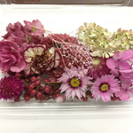 ピンク！ピンク！可愛いお花たちドライフラワーセット！