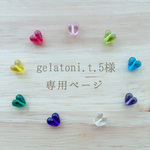 ♡gelatoni.t.5様専用ページ♡