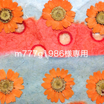 m777g1986様専用